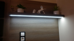 P1000411